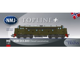 1033255-NMJ-Topline-NSB-Di3-603-Original-Grnn-Leve
