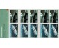 62ec3ca3c4dcd92eacbf472027fe9b58-image