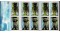 706bfd2f9476aa146b198a68bb3c7018-image