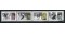 NK-1729-32-4-stripe