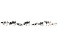 151904_fg_01h4vxlFz87tSvs