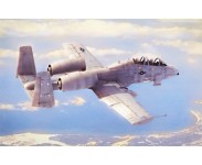 Skala 1/48