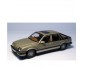 Vanguard-09801-Vauxhall-Cavalier-CD-Mk2-Champagne-