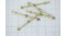 428541_02-resizeheight-375