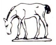 Hester