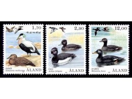 0009a_ducks_110009_r_m