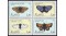 0043b_butterflies-block_110047_r_m