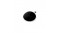 vallejo-black-70950