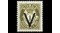 i_2318155575 (1)
