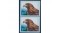664449width785height589resize_modefill