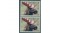 664453width787height590resize_modefill