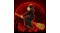 halloween_witch__96726__52775.1413389916_257333591