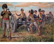 Napoleonic wars