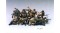 213_rd (7)