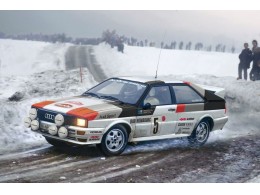 1023526-Audi-Quattro-Rally-1_24-69127-1
